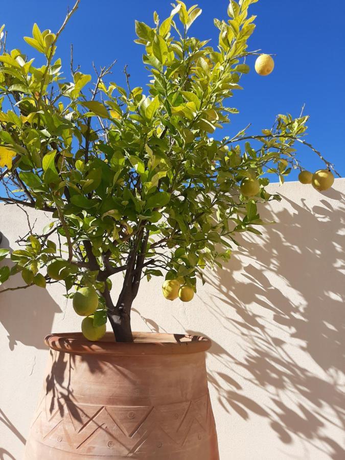 Dar Abdesalam Hotell Fès Exteriör bild